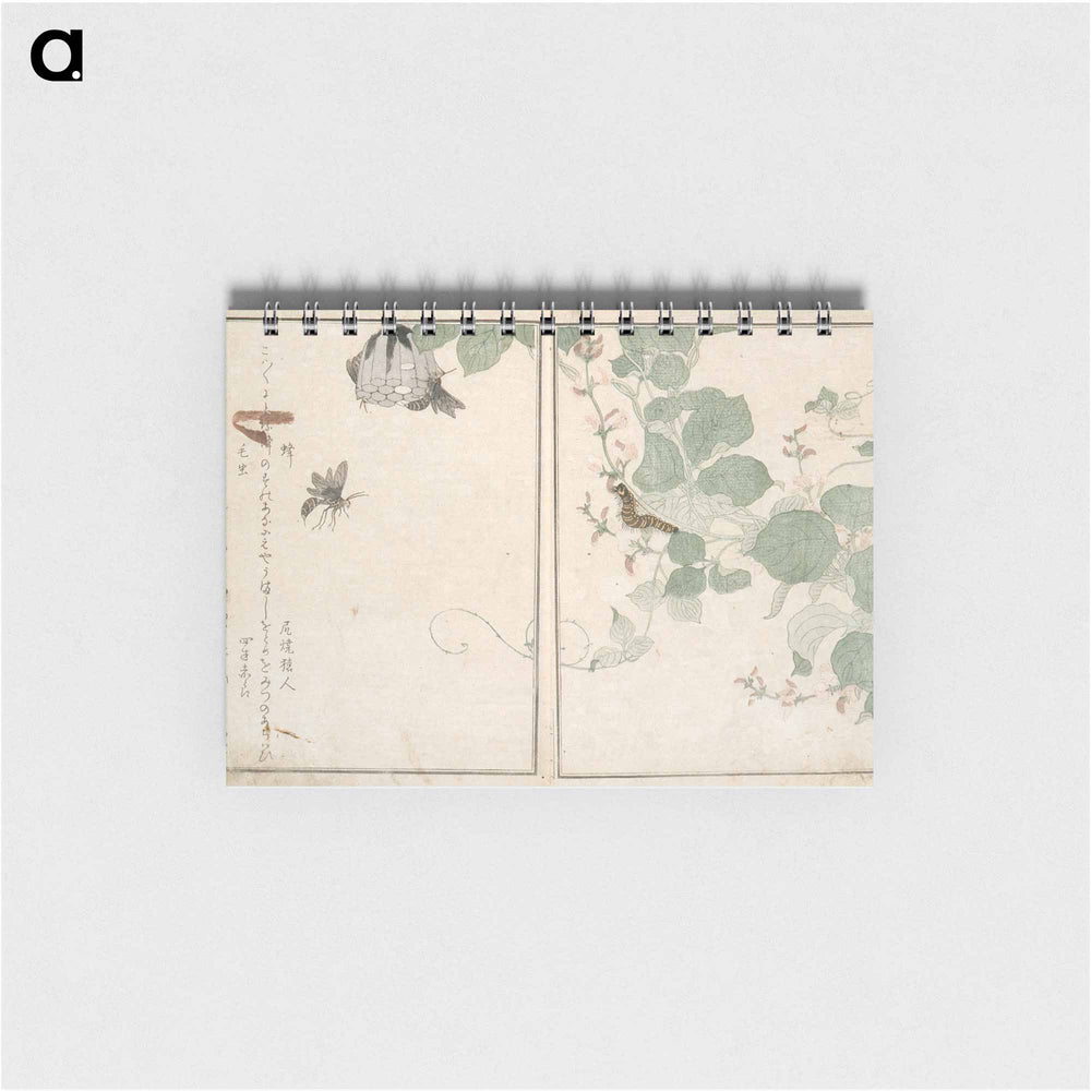 Picture Book of Selected Insects - 喜多川 歌麿 Memo.