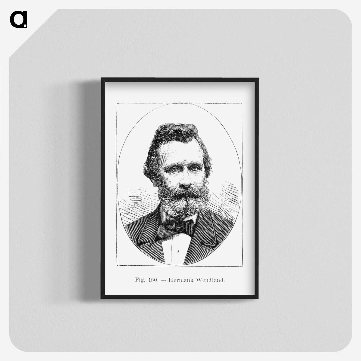 2-50_Les-Palmiers-Histoire-Iconographique_blk-crop