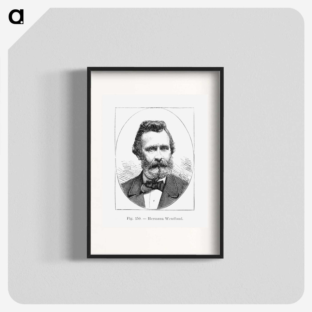 2-50_Les-Palmiers-Histoire-Iconographique_blk