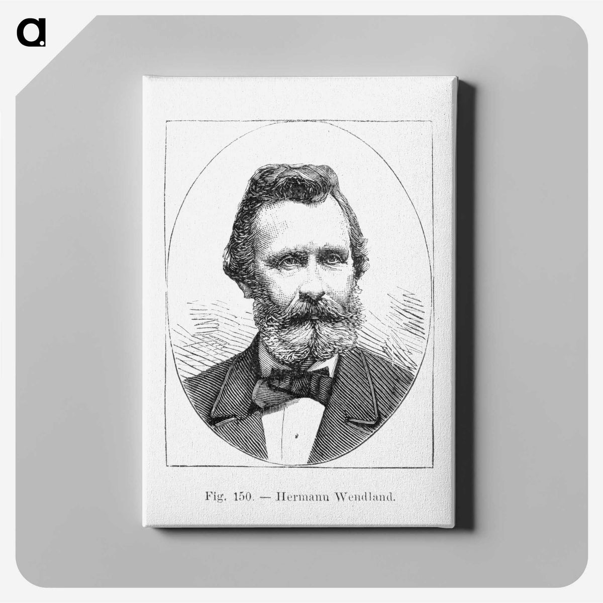 2-50_Les-Palmiers-Histoire-Iconographique_canvas