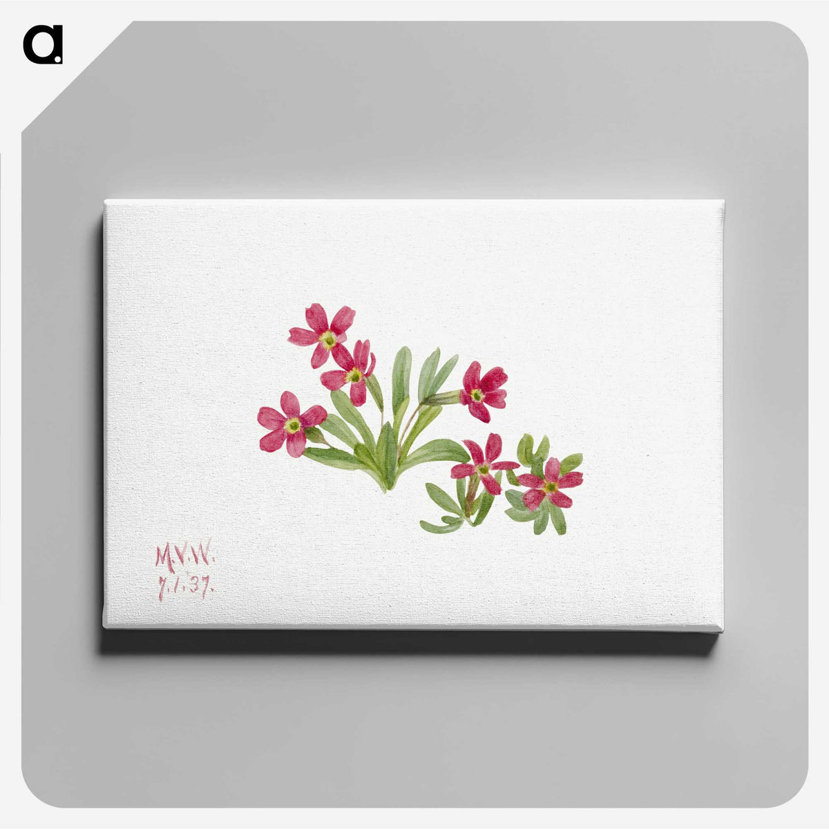 2-50_Mary-Vaux-Walcott_canvas