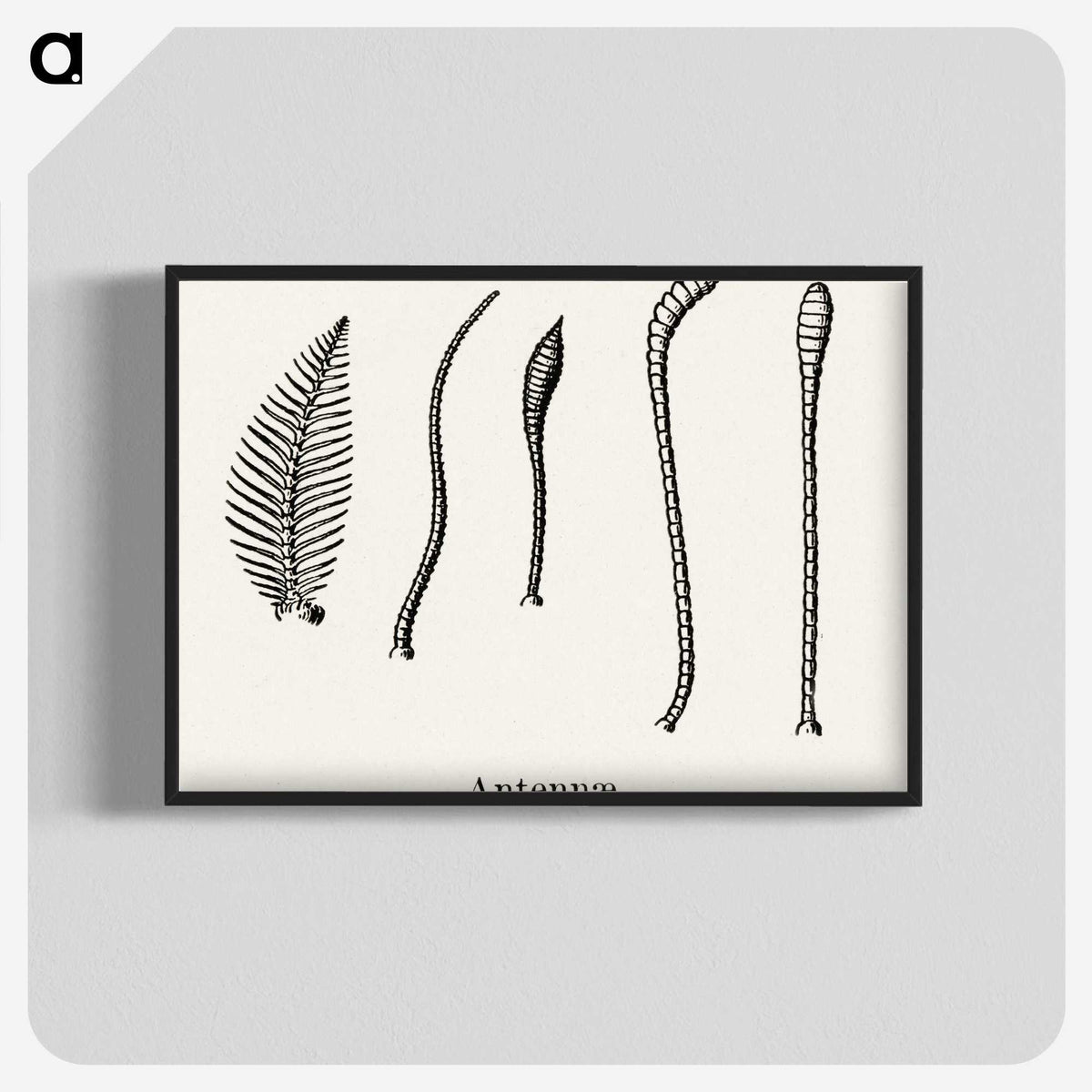 2-50_Moths-and-Butterflies-of-the-United-States_blk-crop