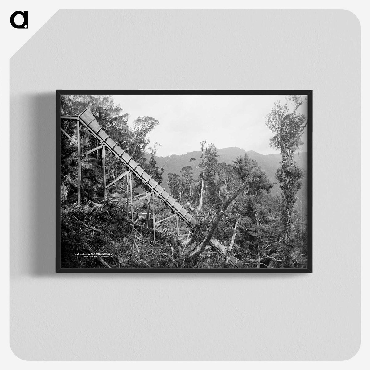 2-50_The-Burton-Brothers_blk-crop