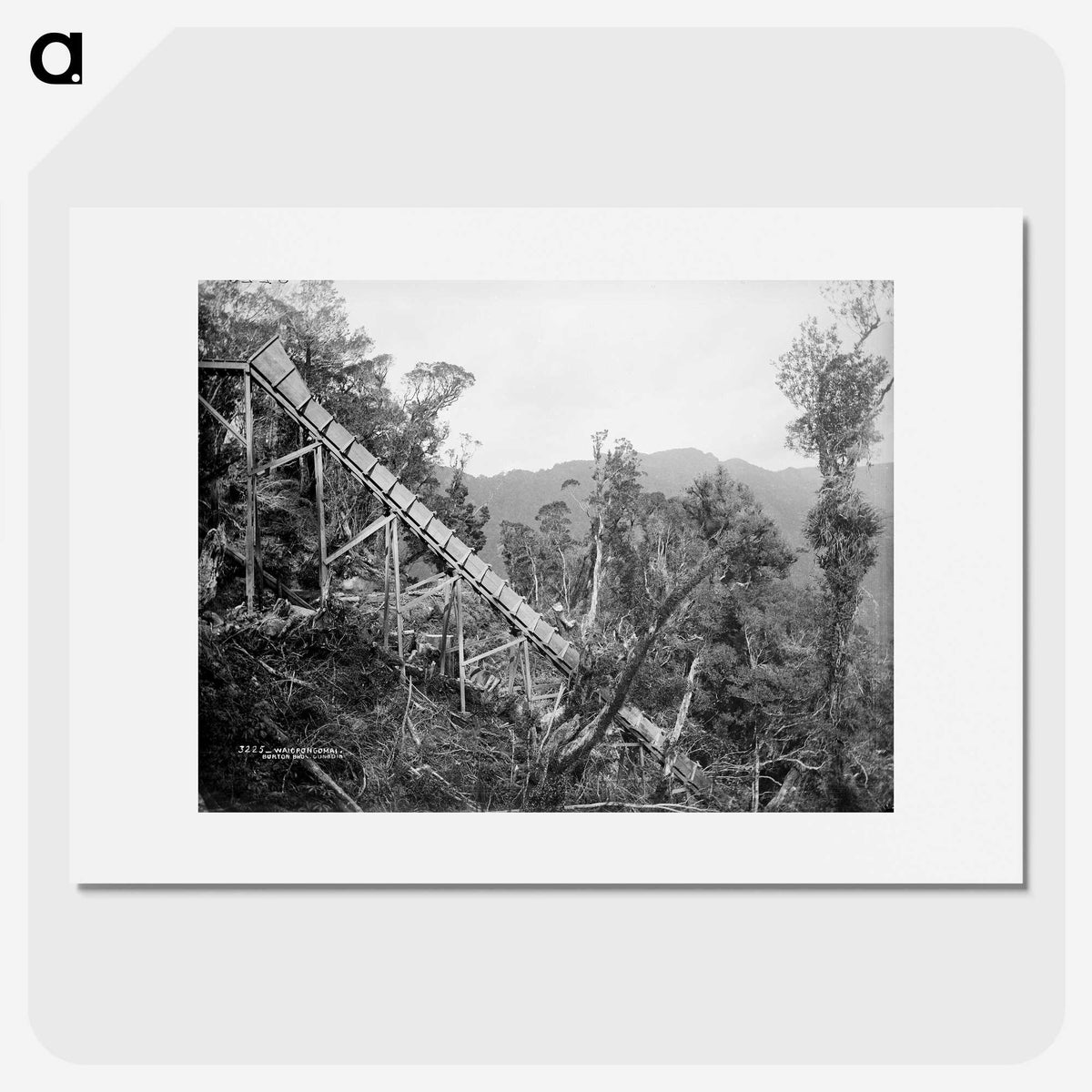 2-50_The-Burton-Brothers_picture