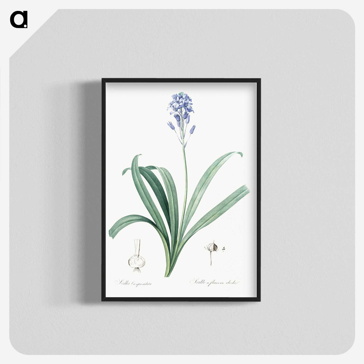 2-50_The-Lilies_blk-crop