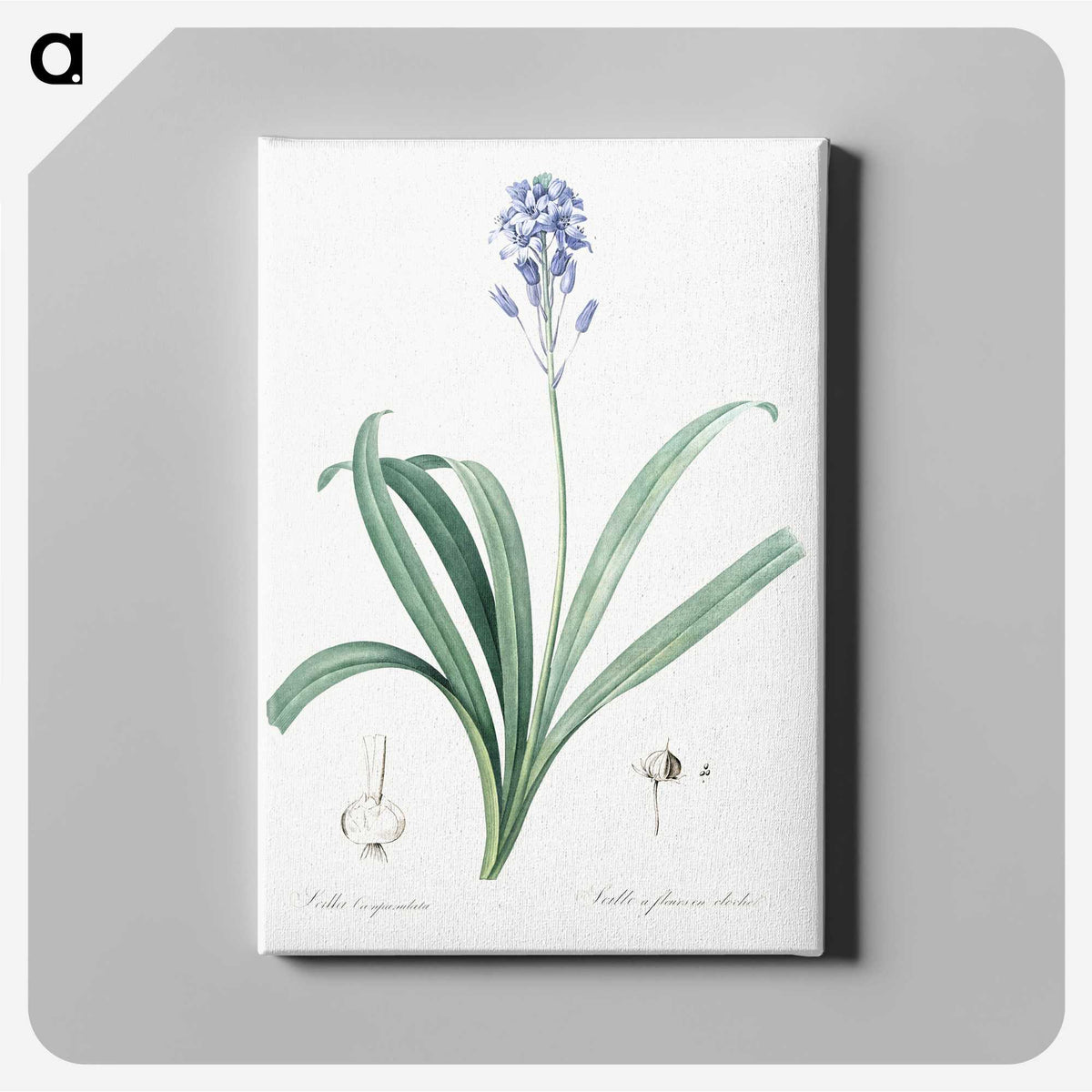 2-50_The-Lilies_canvas
