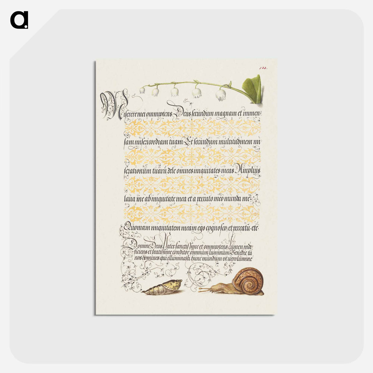 アートポストカード-Lily of the Valley, Pupa, and Land Snail from Mira Calligraphiae Monumenta or The Model Book of Calligraphy
- 書道のお手本 Postcard.
