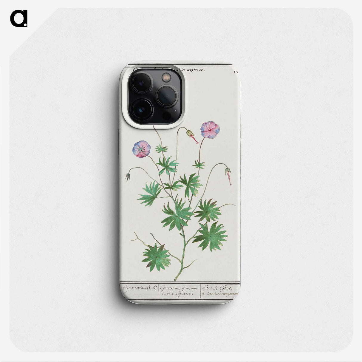 2-51_Anselmus-Boetius-de-Boodt_phone