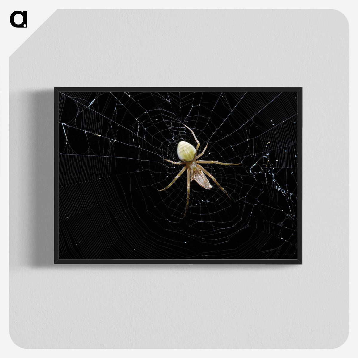 2-51_Insects-Unlocked-Project_blk-crop