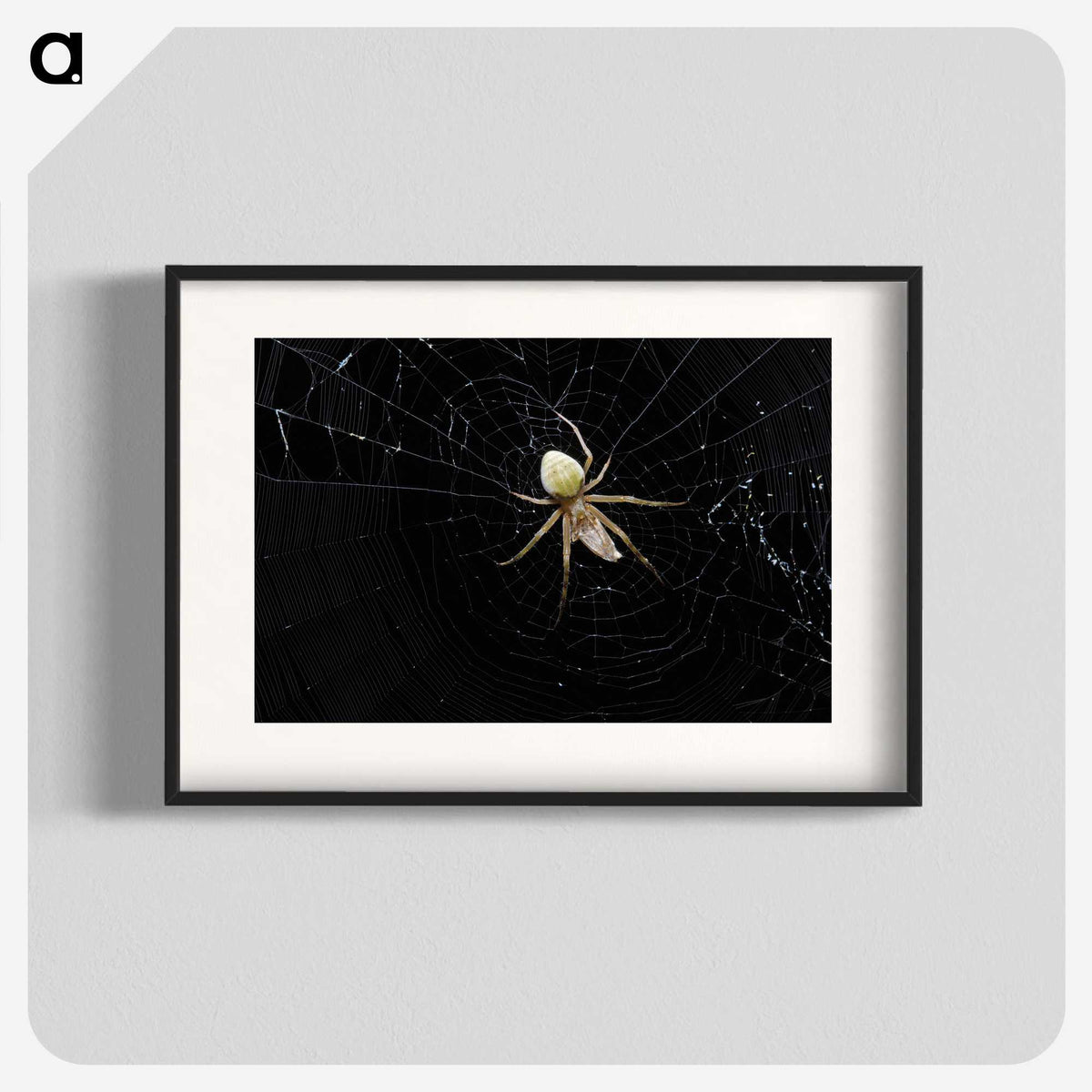 2-51_Insects-Unlocked-Project_blk