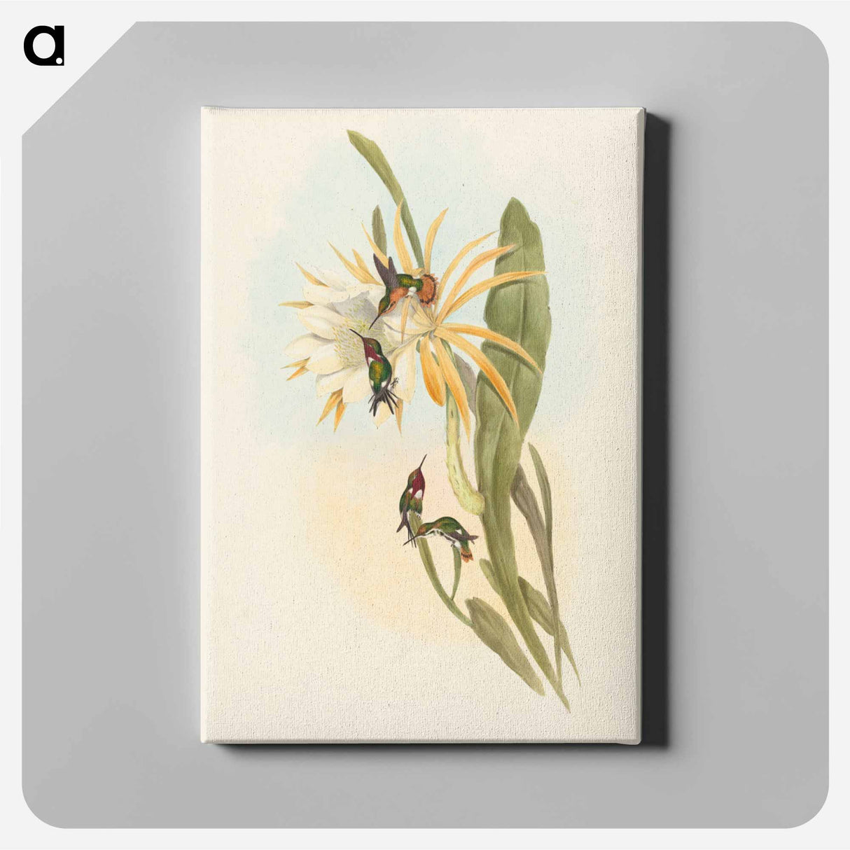 アートパネル-Calothorax heliodori
- ジョン グールド Canvas.