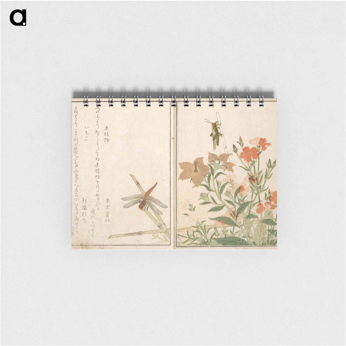 Picture Book of Selected Insects, vol. II - 喜多川 歌麿 Memo.