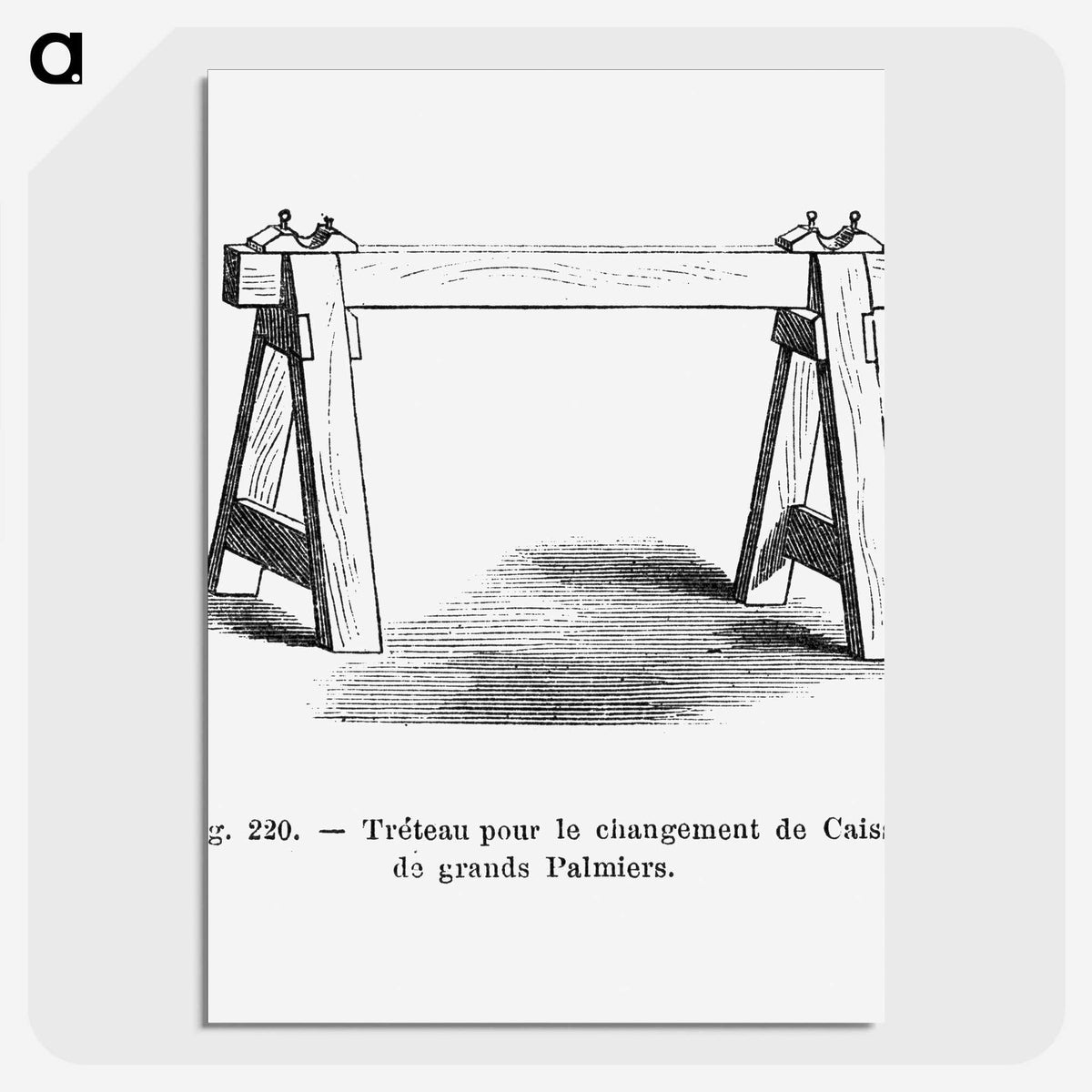 2-51_Les-Palmiers-Histoire-Iconographique_picture-crop
