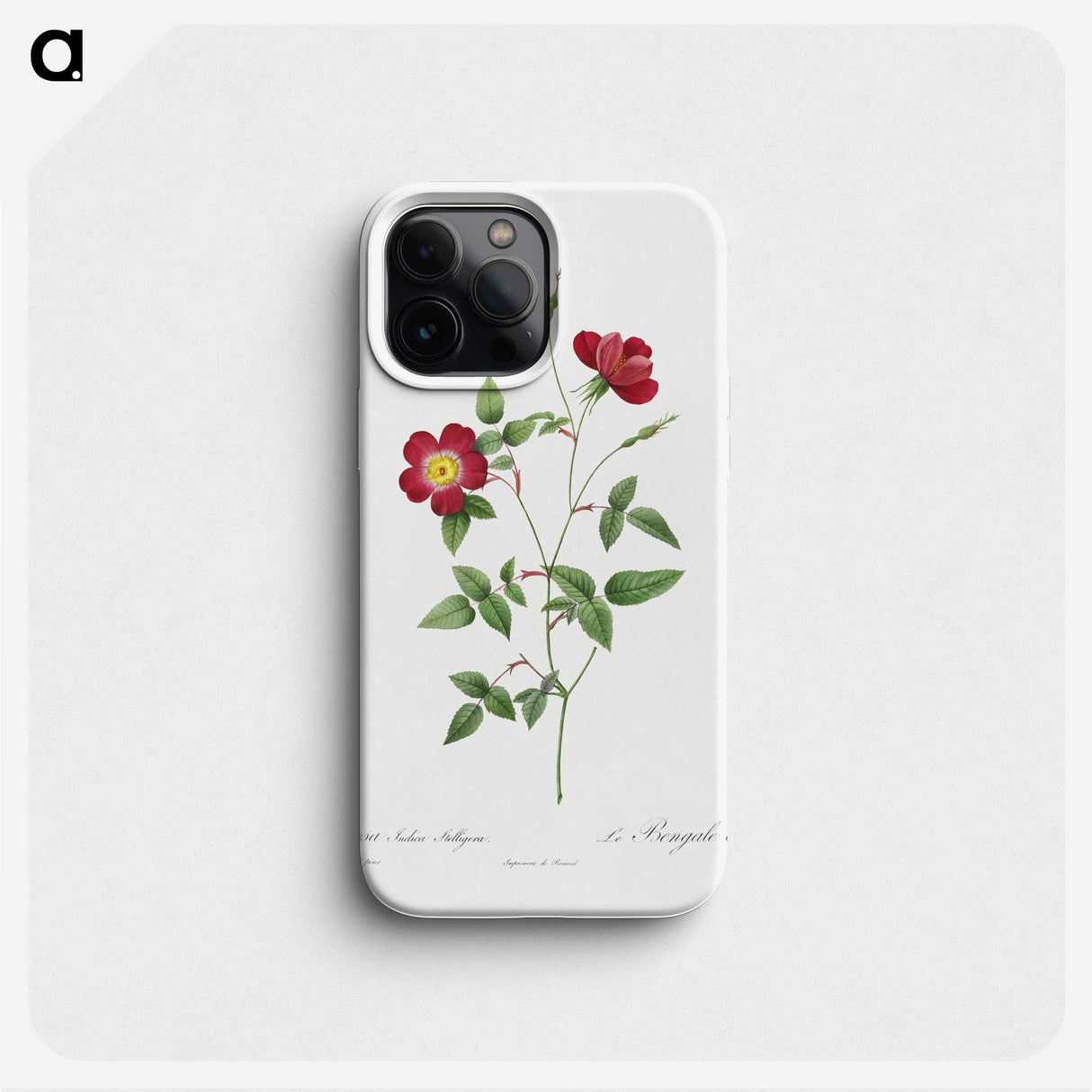 2-51_Pierre-Joseph-Redoute_phone