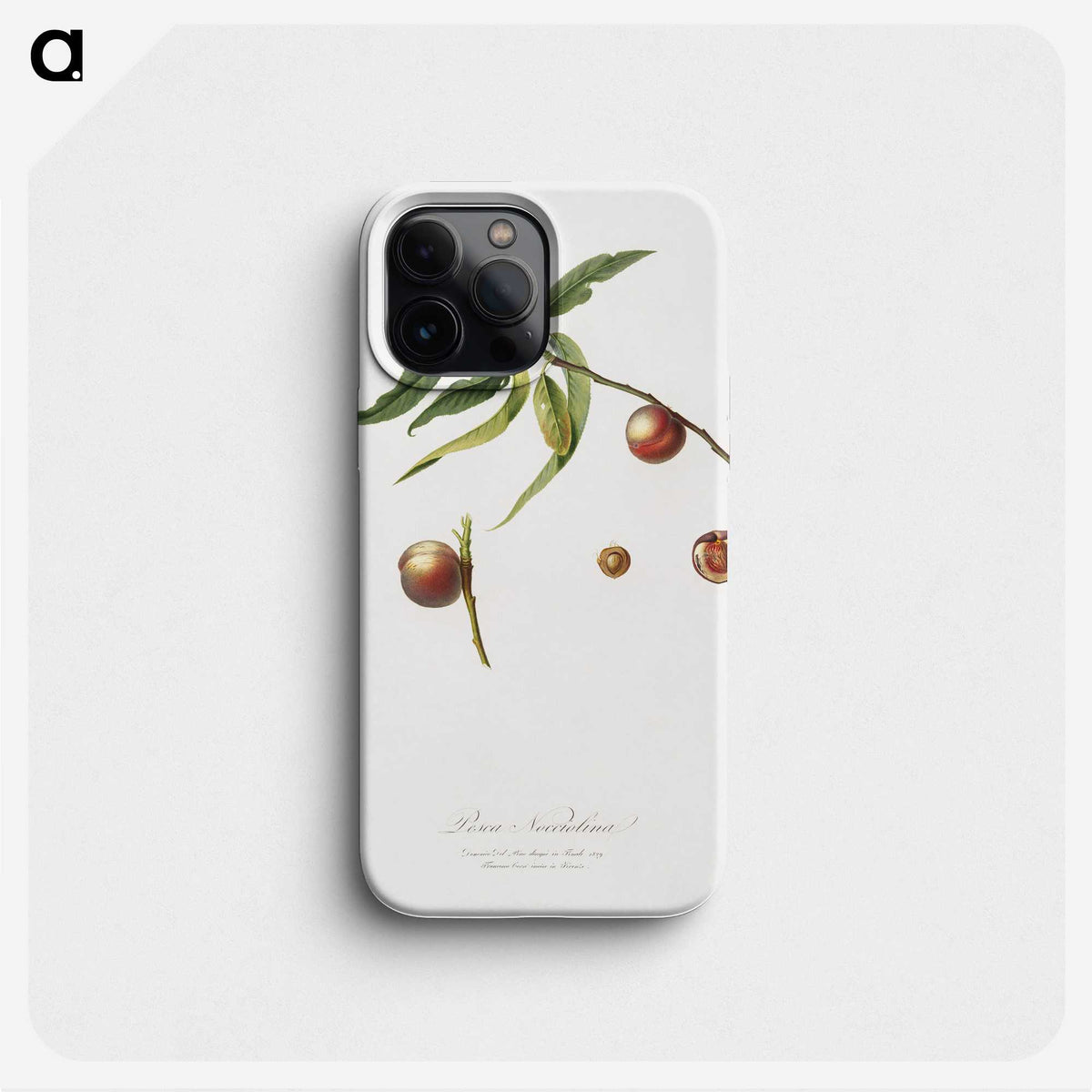 2-51_Pomona-Italiana_phone