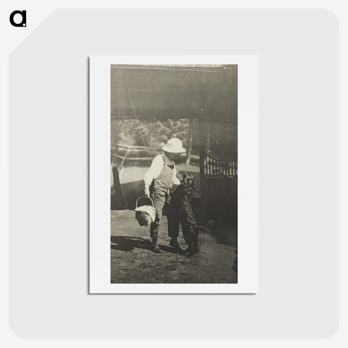 2-52_Alfred-Stieglitz_hagaki
