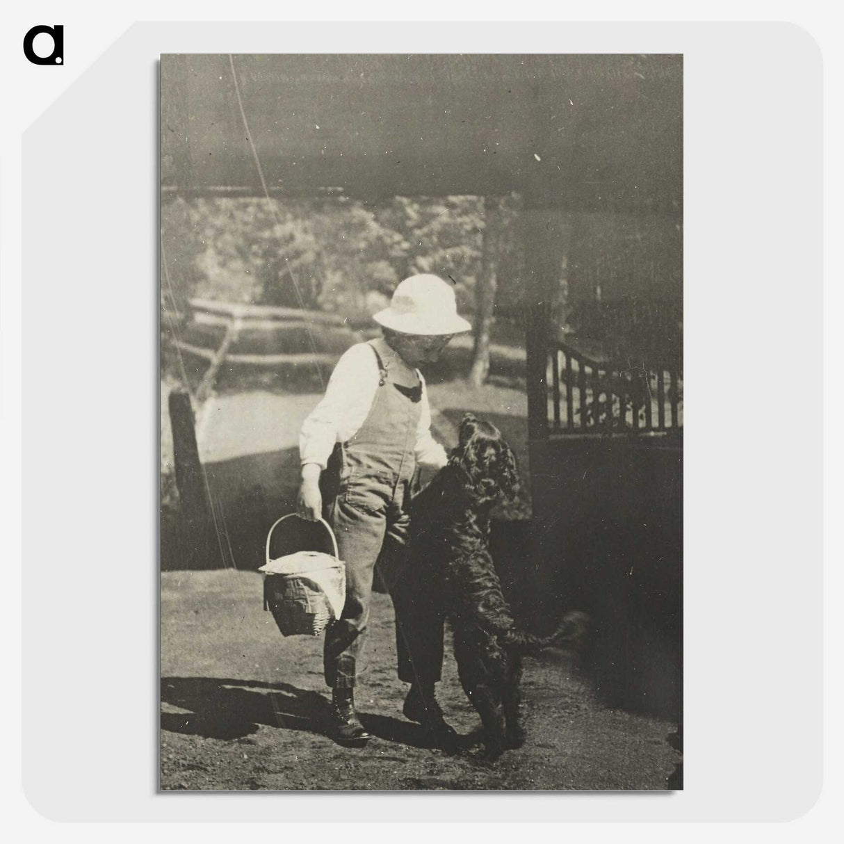 2-52_Alfred-Stieglitz_picture-crop
