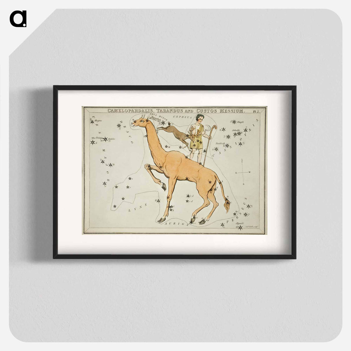 Camelopardalis, Tarandus and the Custos Messium - アンティーク地図 Poster.