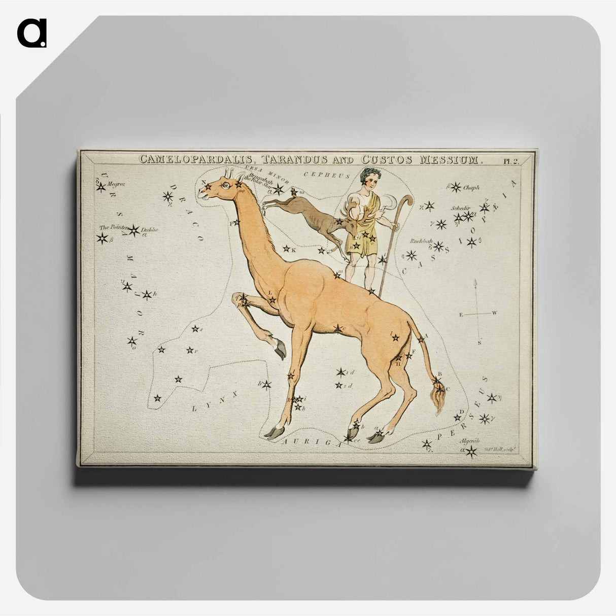 Camelopardalis, Tarandus and the Custos Messium - アンティーク地図 Canvas.