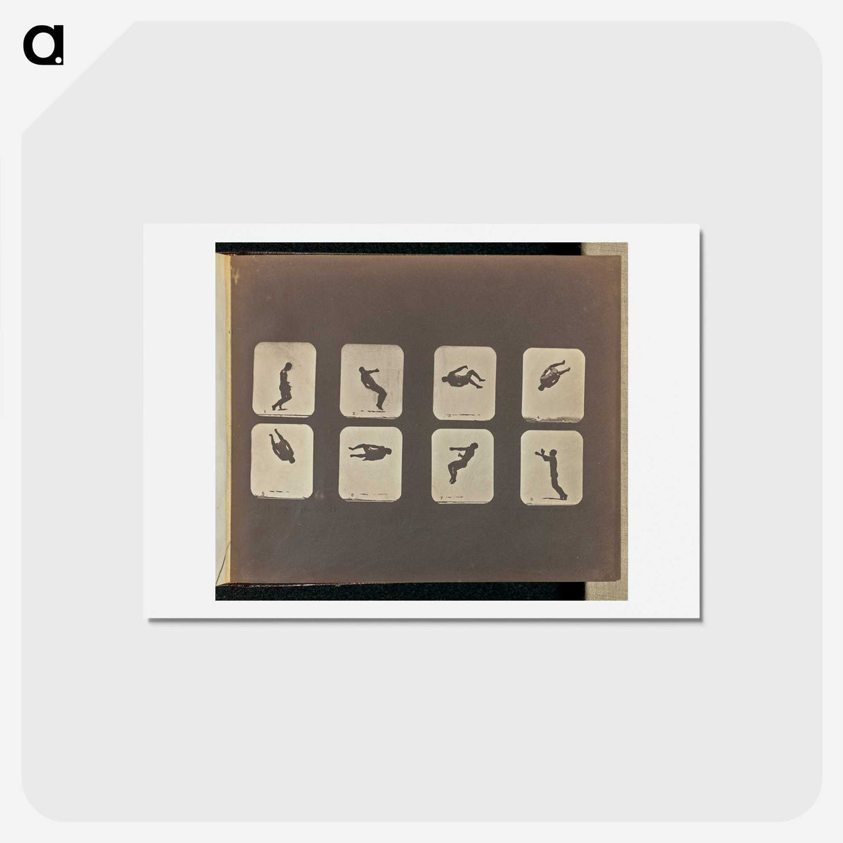2-52_Eadweard-Muybridge_hagaki
