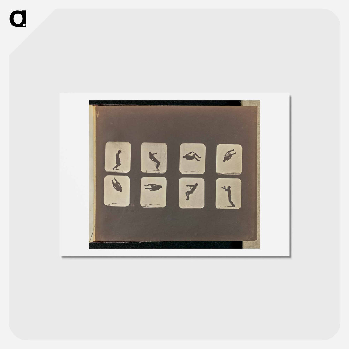 アートポストカード-Twisting Somersault
- エドワード マイブリッジ Postcard.