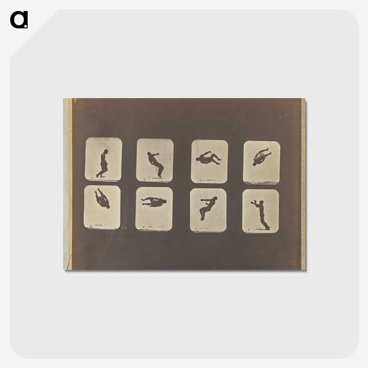 2-52_Eadweard-Muybridge_postcard