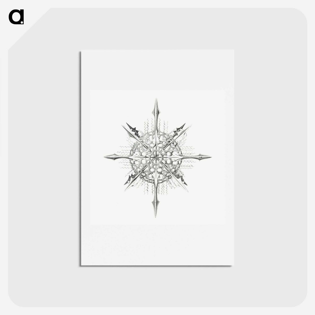 2-52_Ernst-Haeckel_hagaki
