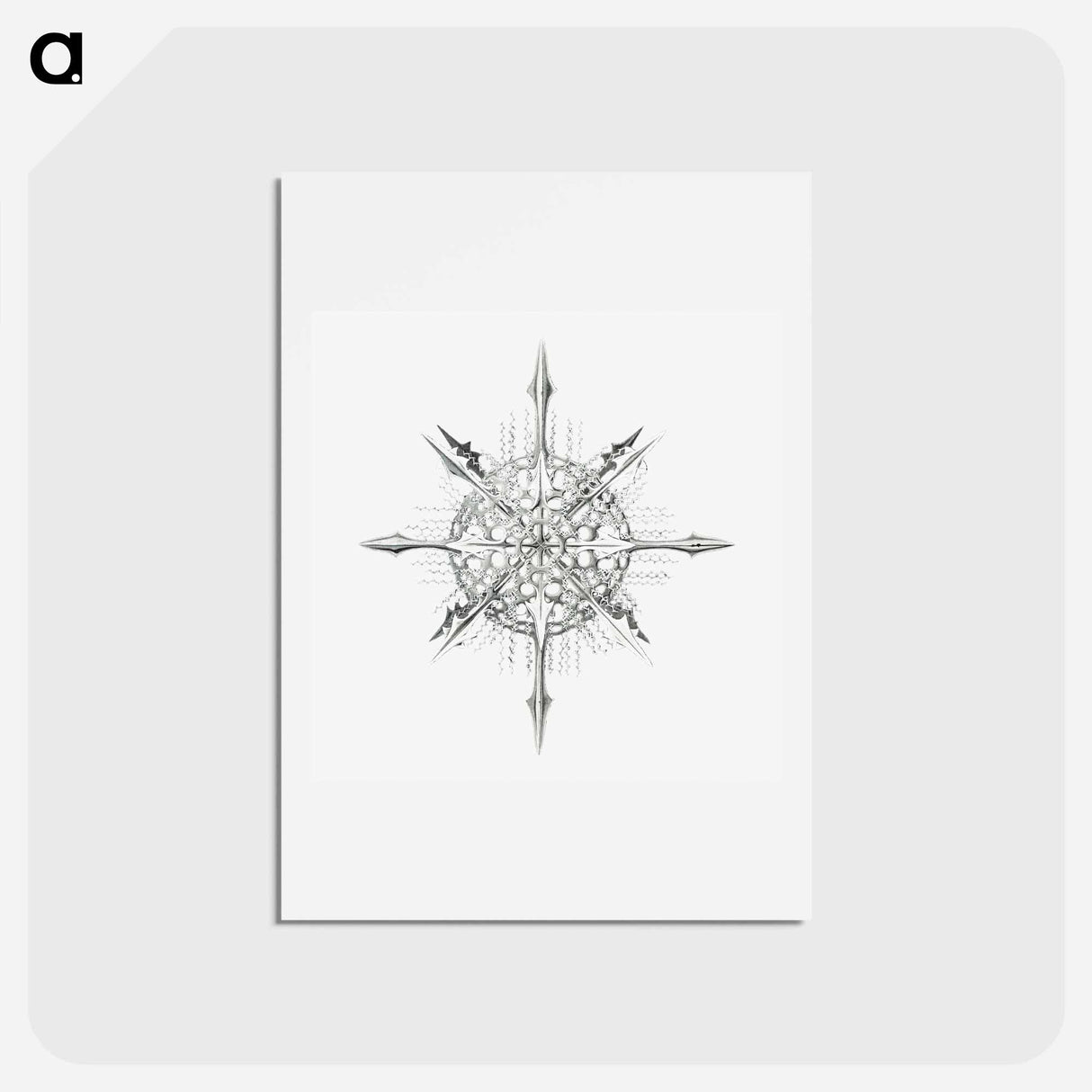 アートポストカード-Vintage marine life illustration on white background - エルンスト ヘッケル Postcard.