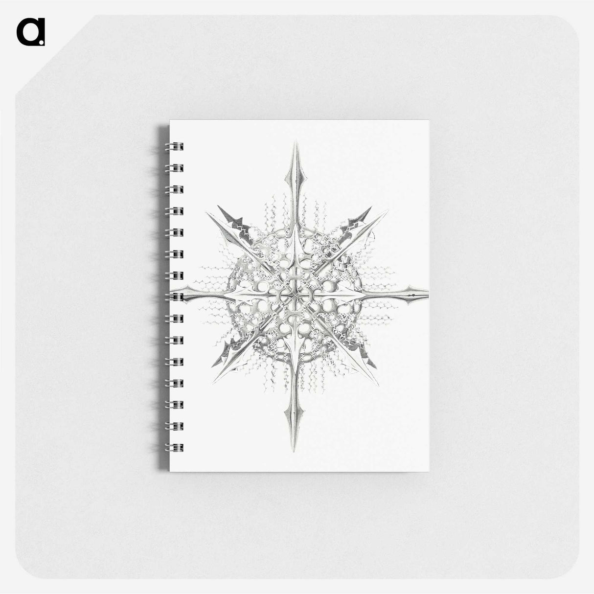 2-52_Ernst-Haeckel_memo