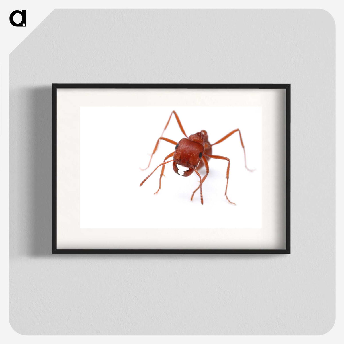 2-52_Insects-Unlocked-Project_blk