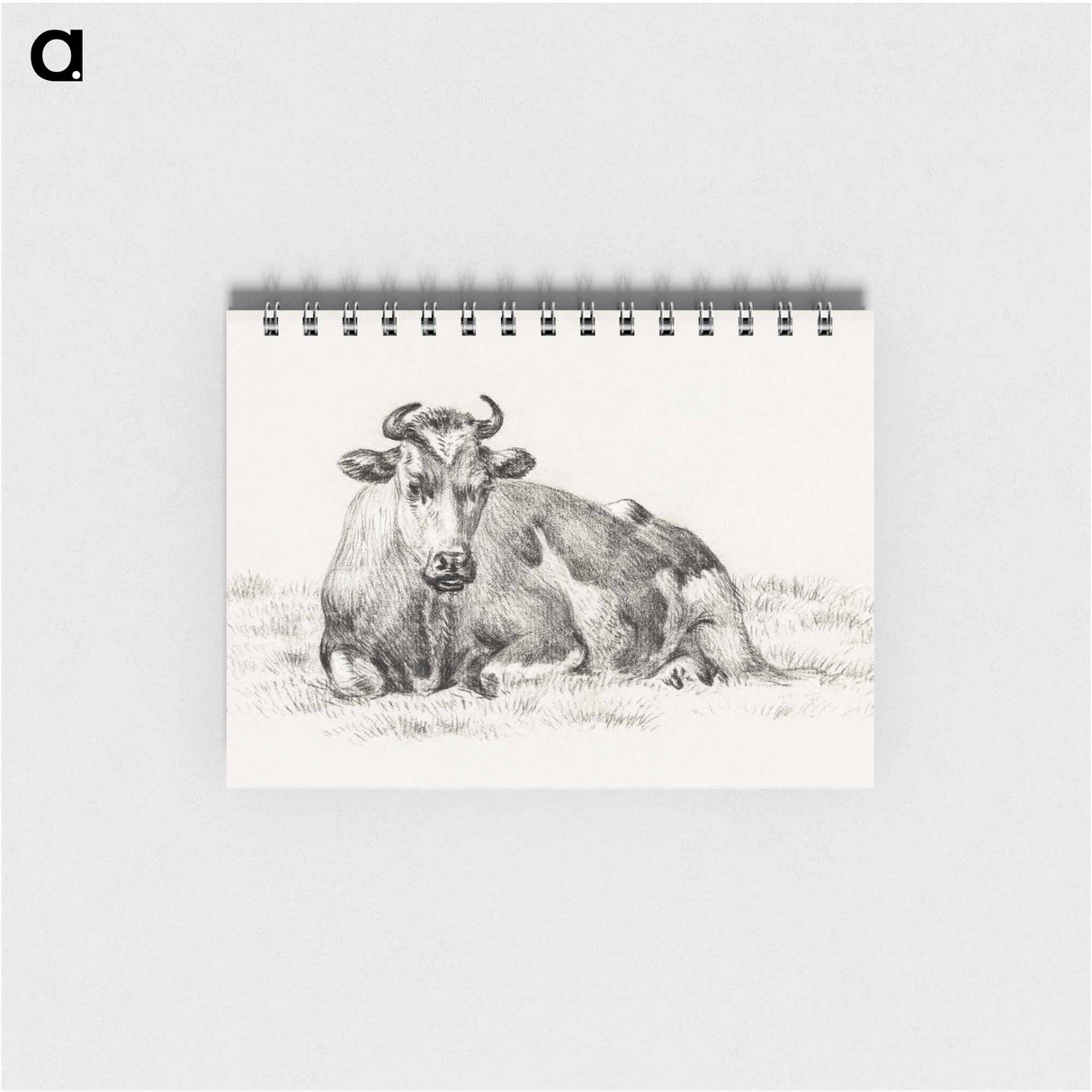 Lying cow - ジャン ベルナール Memo.