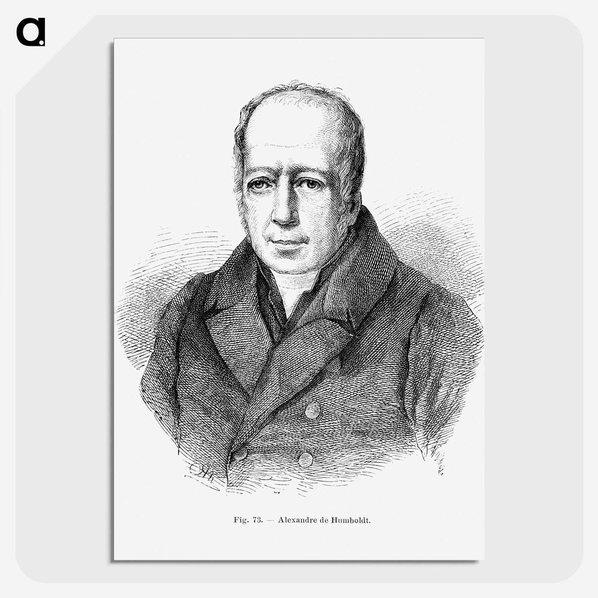 2-52_Les-Palmiers-Histoire-Iconographique_picture-crop