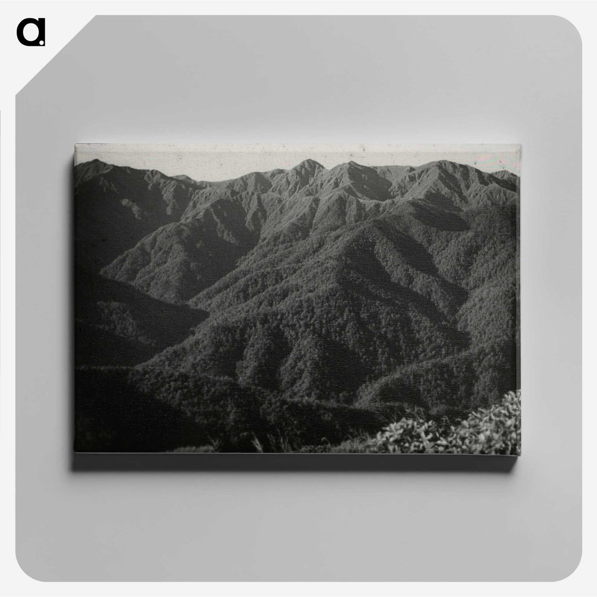 2-52_Leslie-Adkin_canvas