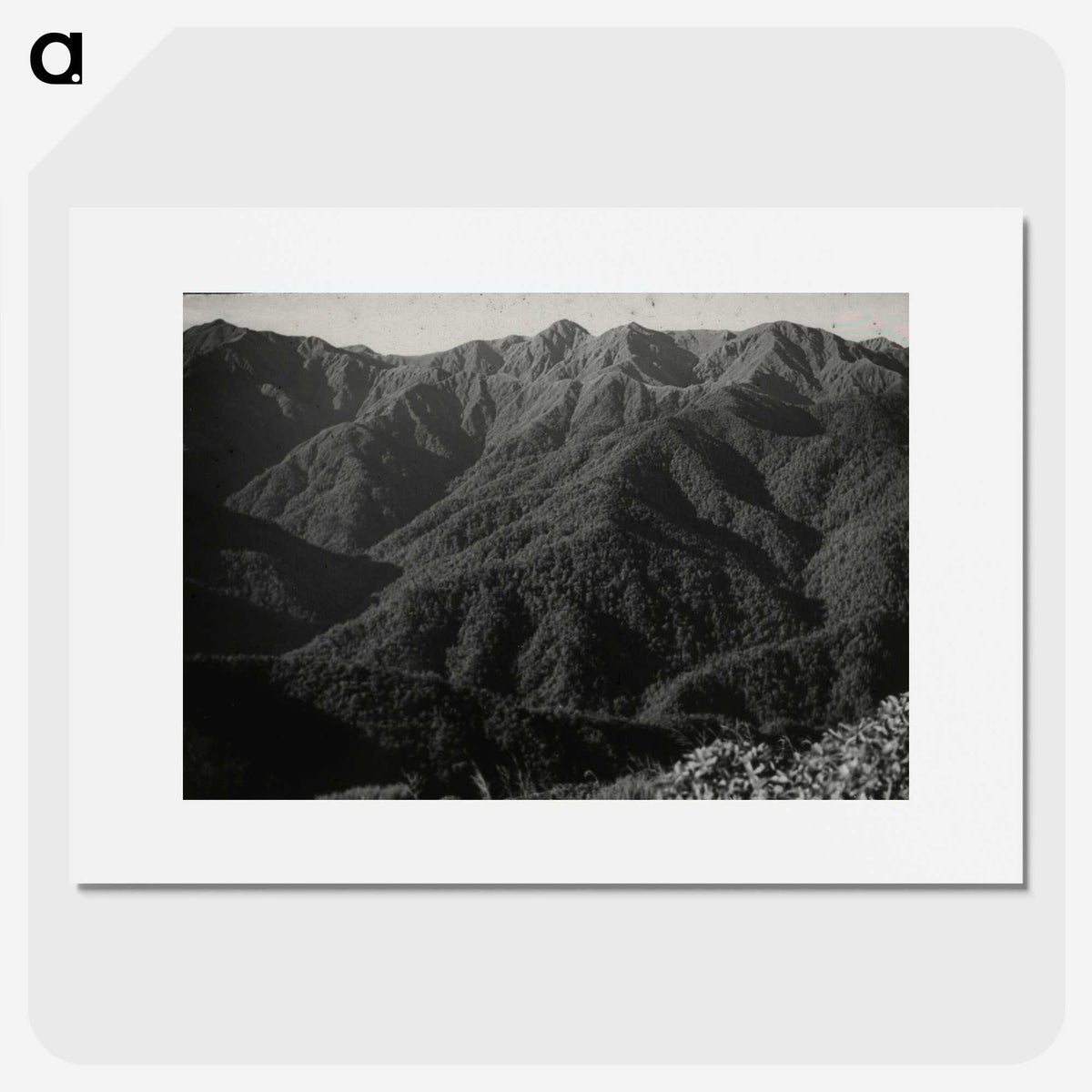 2-52_Leslie-Adkin_picture