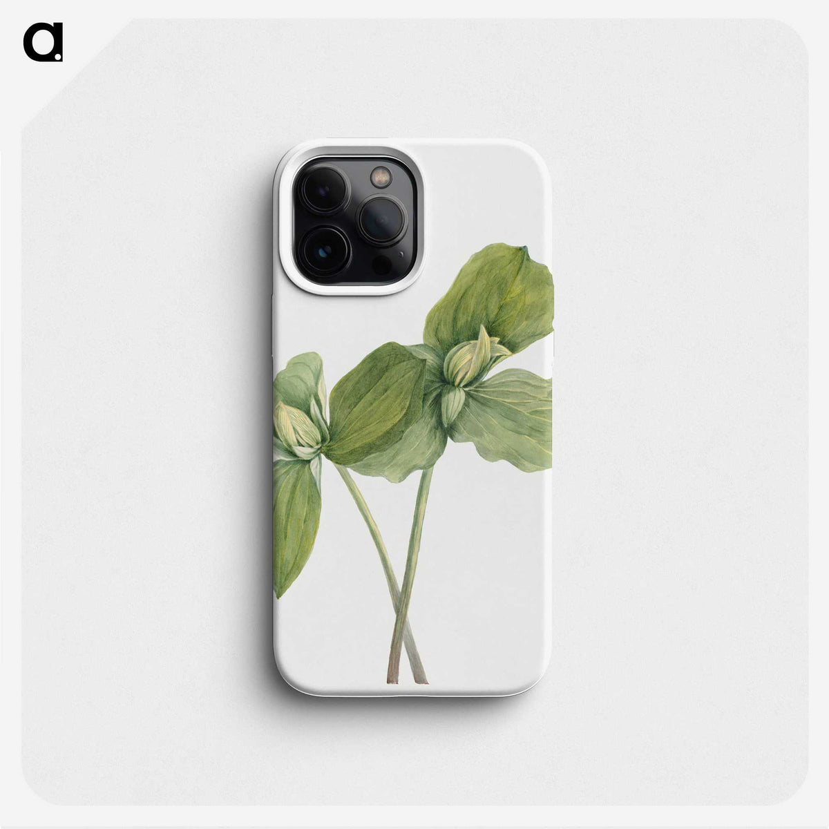 2-52_Mary-Vaux-Walcott_phone