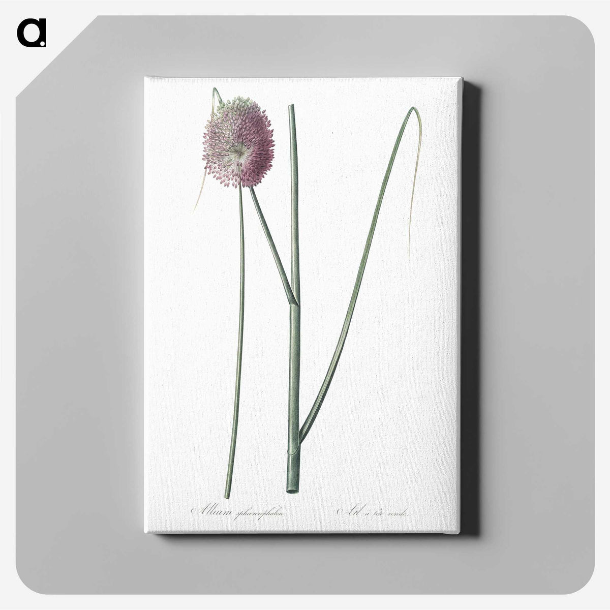 2-52_The-Lilies_canvas