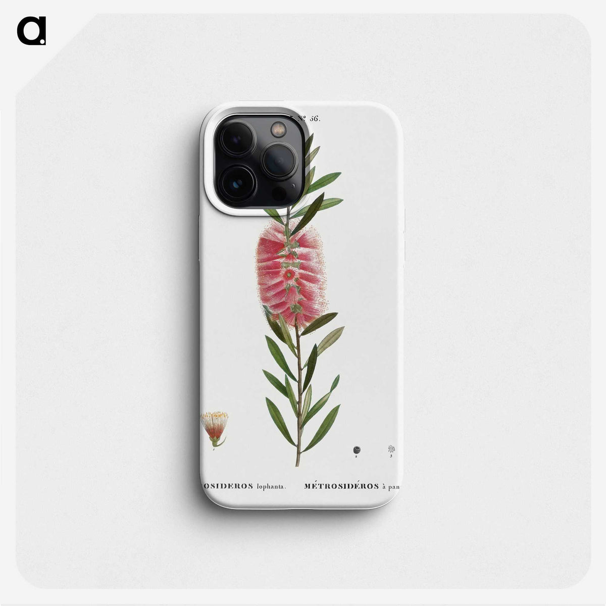 2-52_Treatise-on-Trees-and-Shrubs_phone