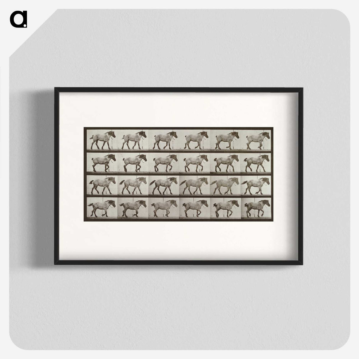 2-53_Eadweard-Muybridge_blk