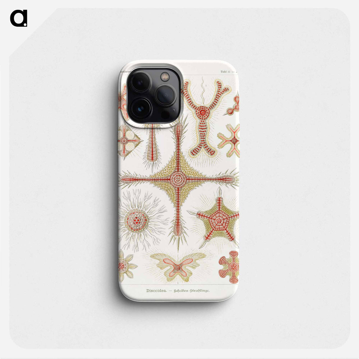 Discoidea–Scheiben-Strahlinge - エルンスト ヘッケル Phone Case.