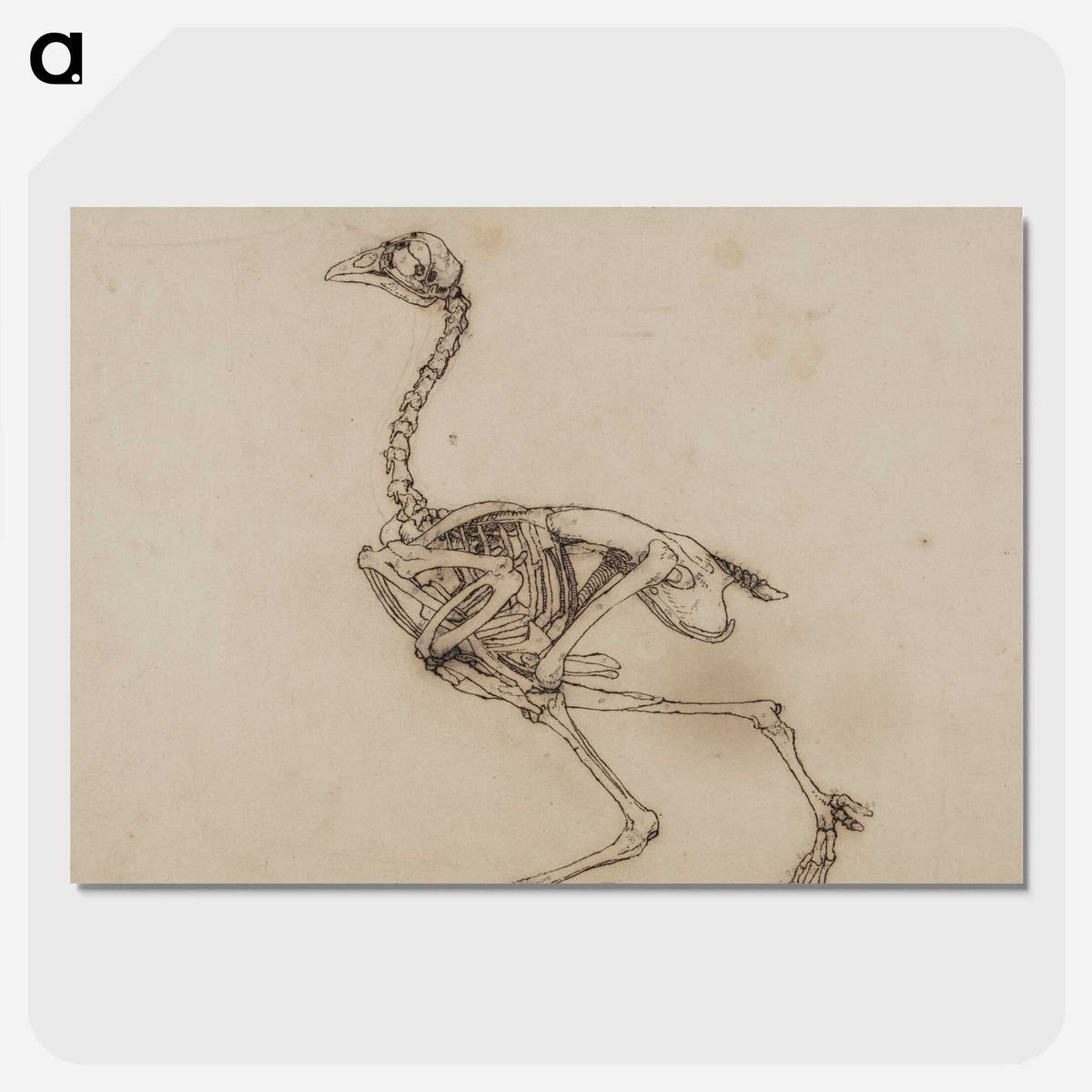 2-53_George-Stubbs_picture-crop