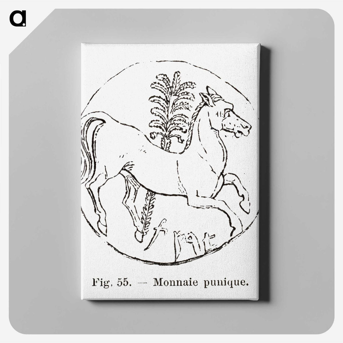 2-53_Les-Palmiers-Histoire-Iconographique_canvas