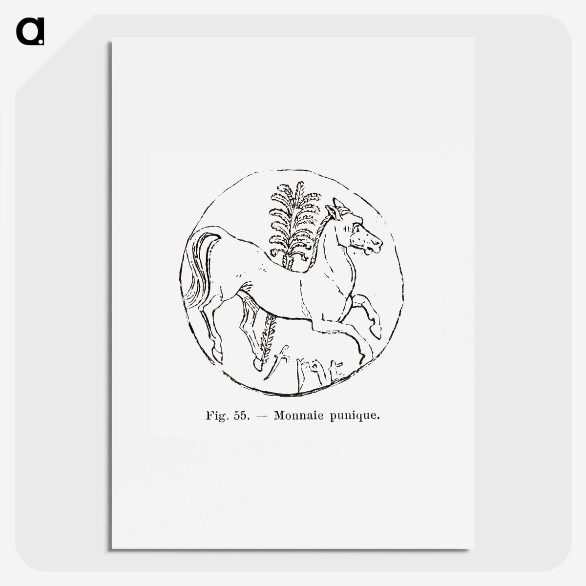 2-53_Les-Palmiers-Histoire-Iconographique_picture