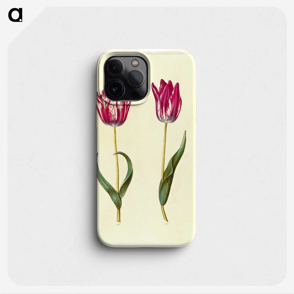 2-53_Maria-Sibylla-Merian_phone