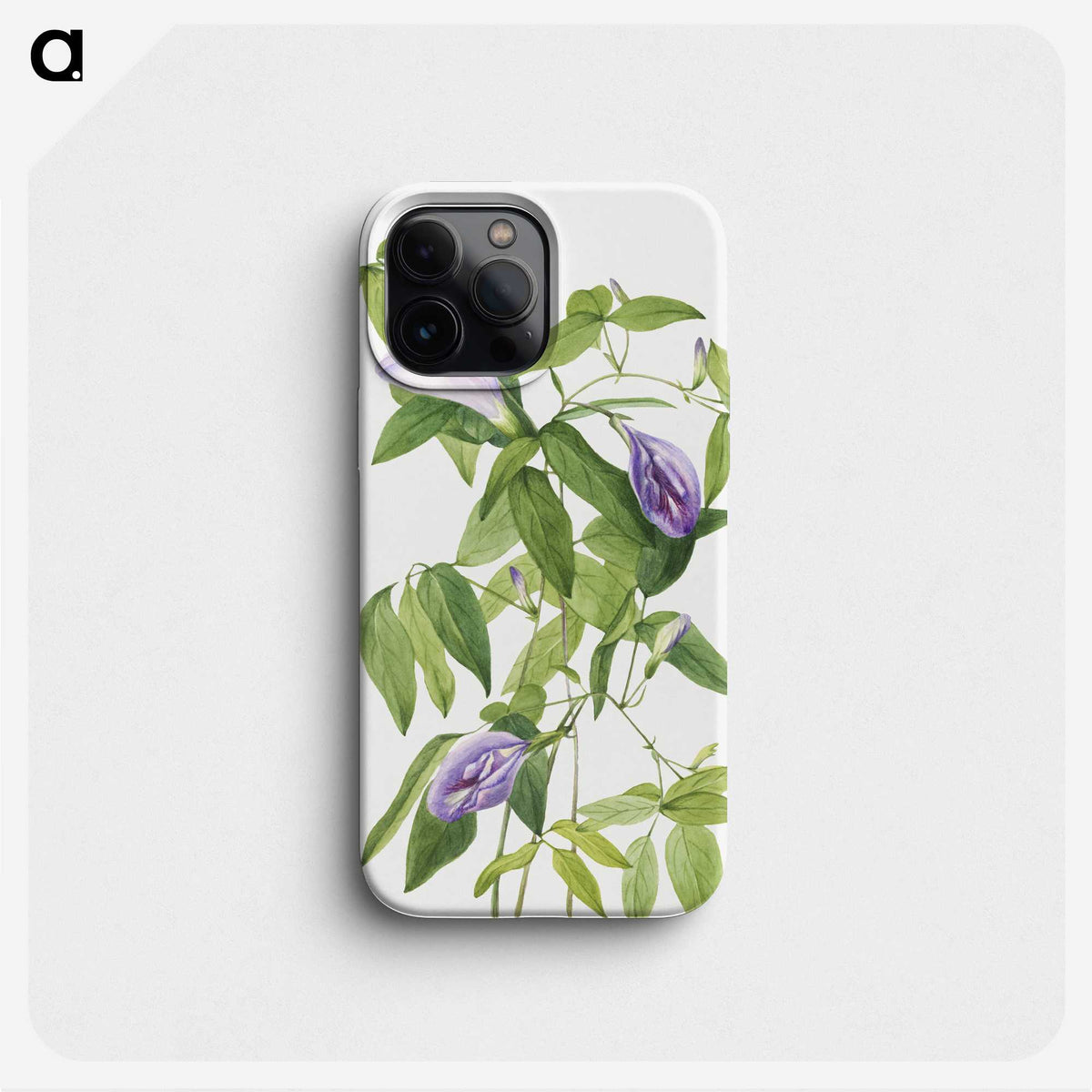 2-53_Mary-Vaux-Walcott_phone