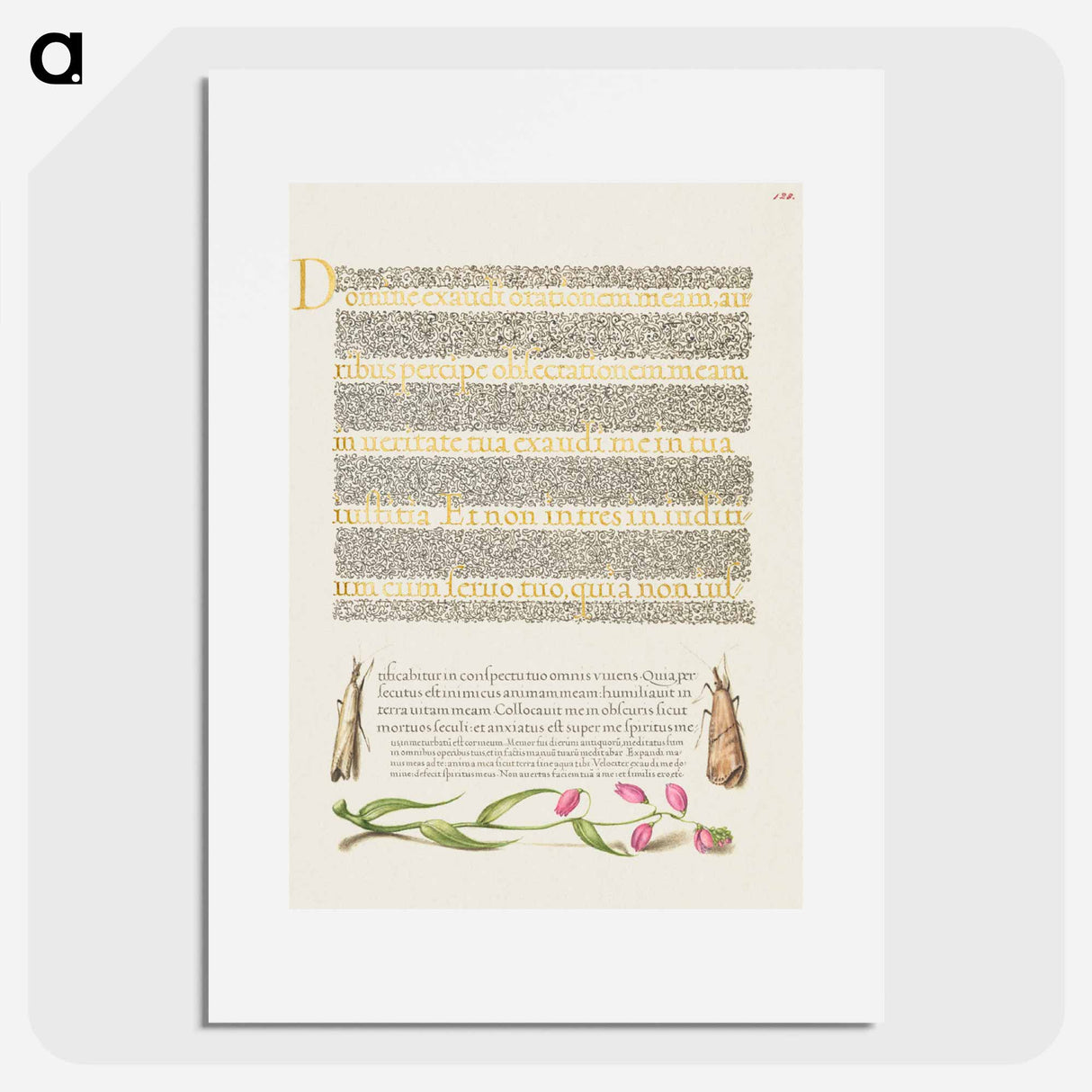 アートポスター-Grass Moths and Milkwort from Mira Calligraphiae Monumenta
- 書道のお手本 Poster.