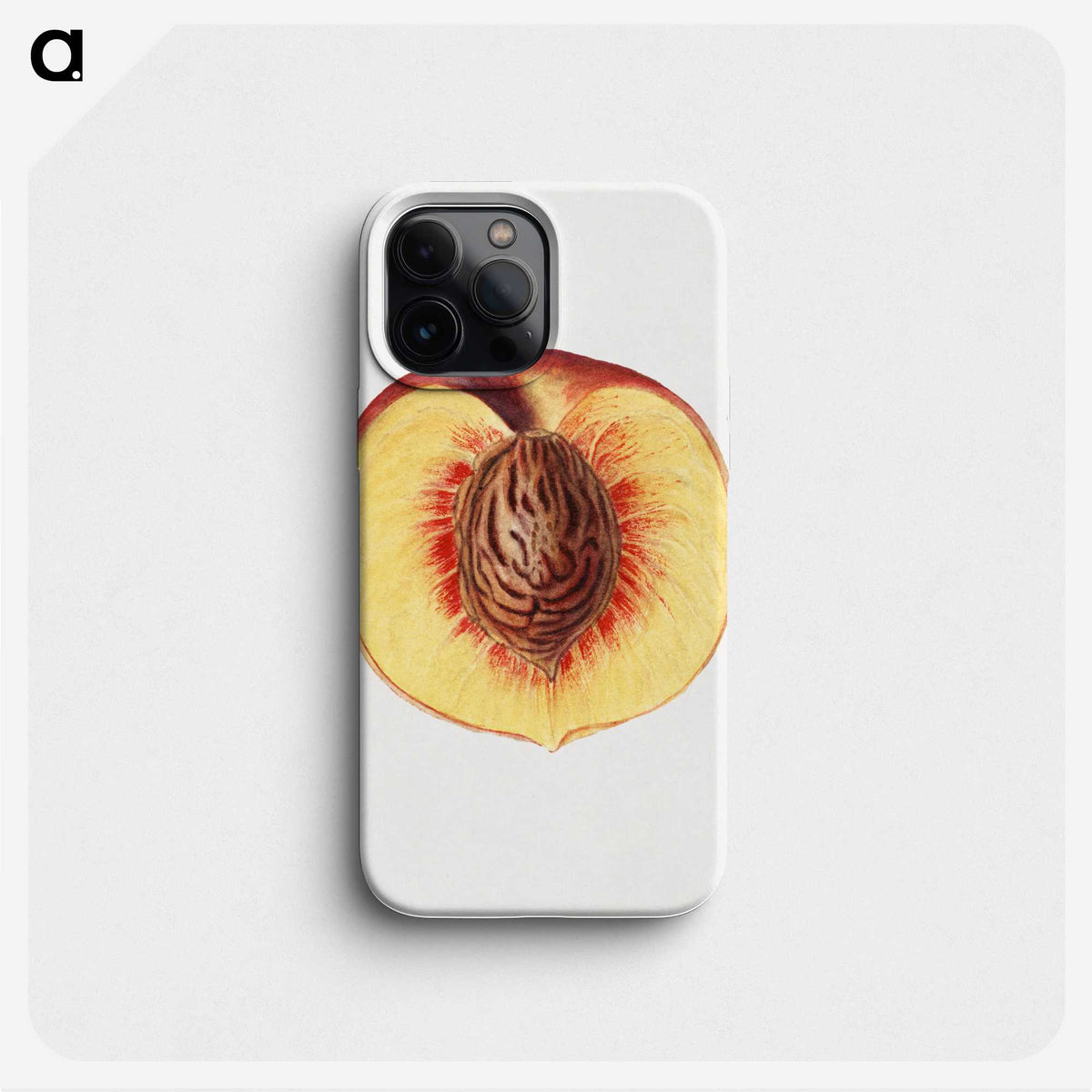 2-53_USDA-Watercolor-Fruit-Painting-Collection_phone