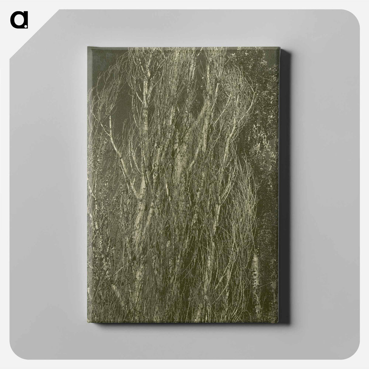 Poplars, Lake George - アルフレッド スティーグリッツ Canvas.