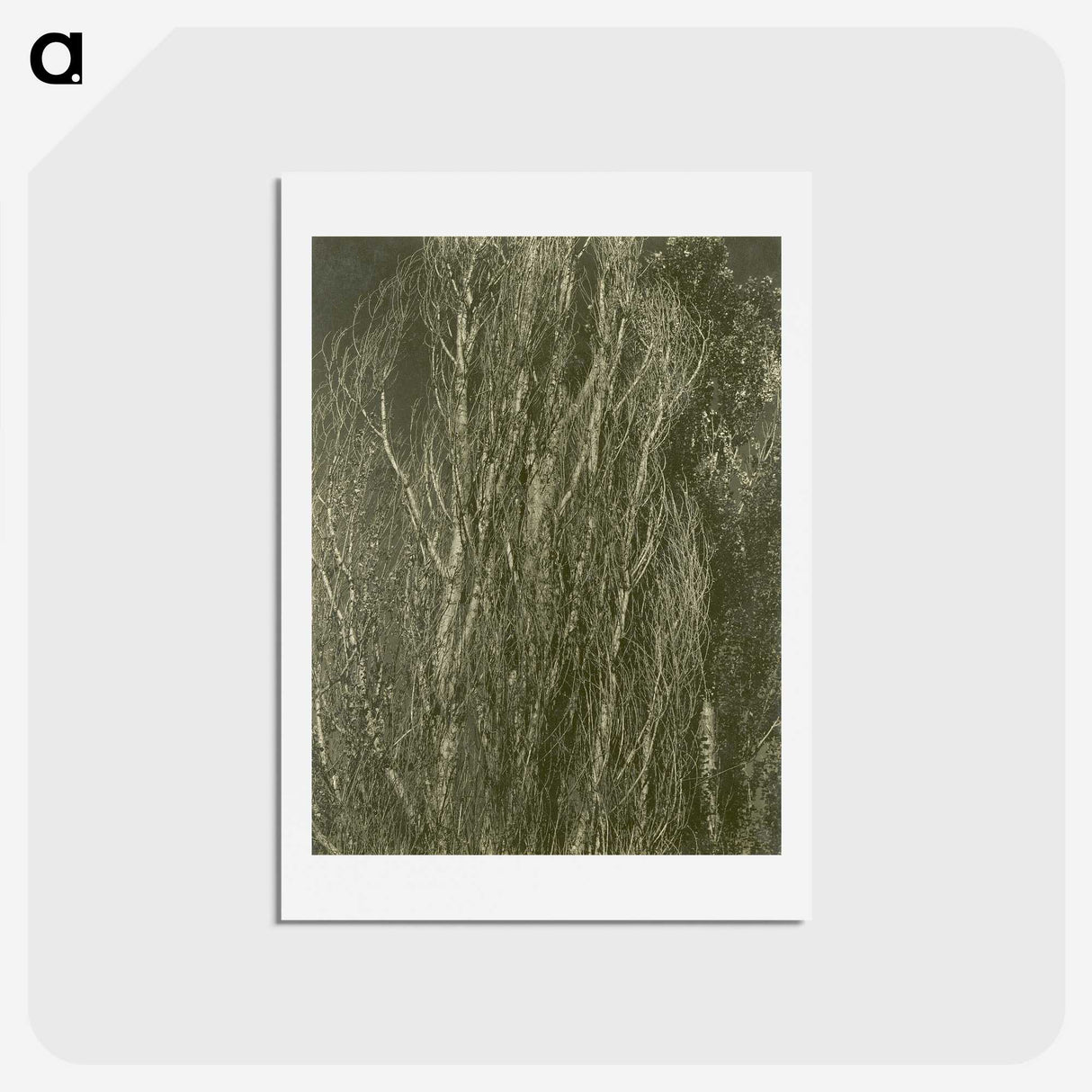 2-54_Alfred-Stieglitz_hagaki
