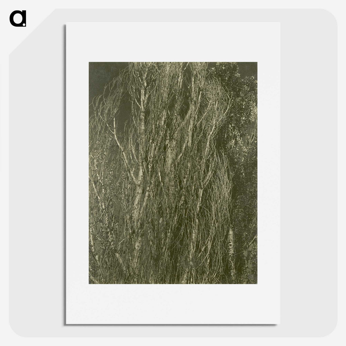 2-54_Alfred-Stieglitz_picture