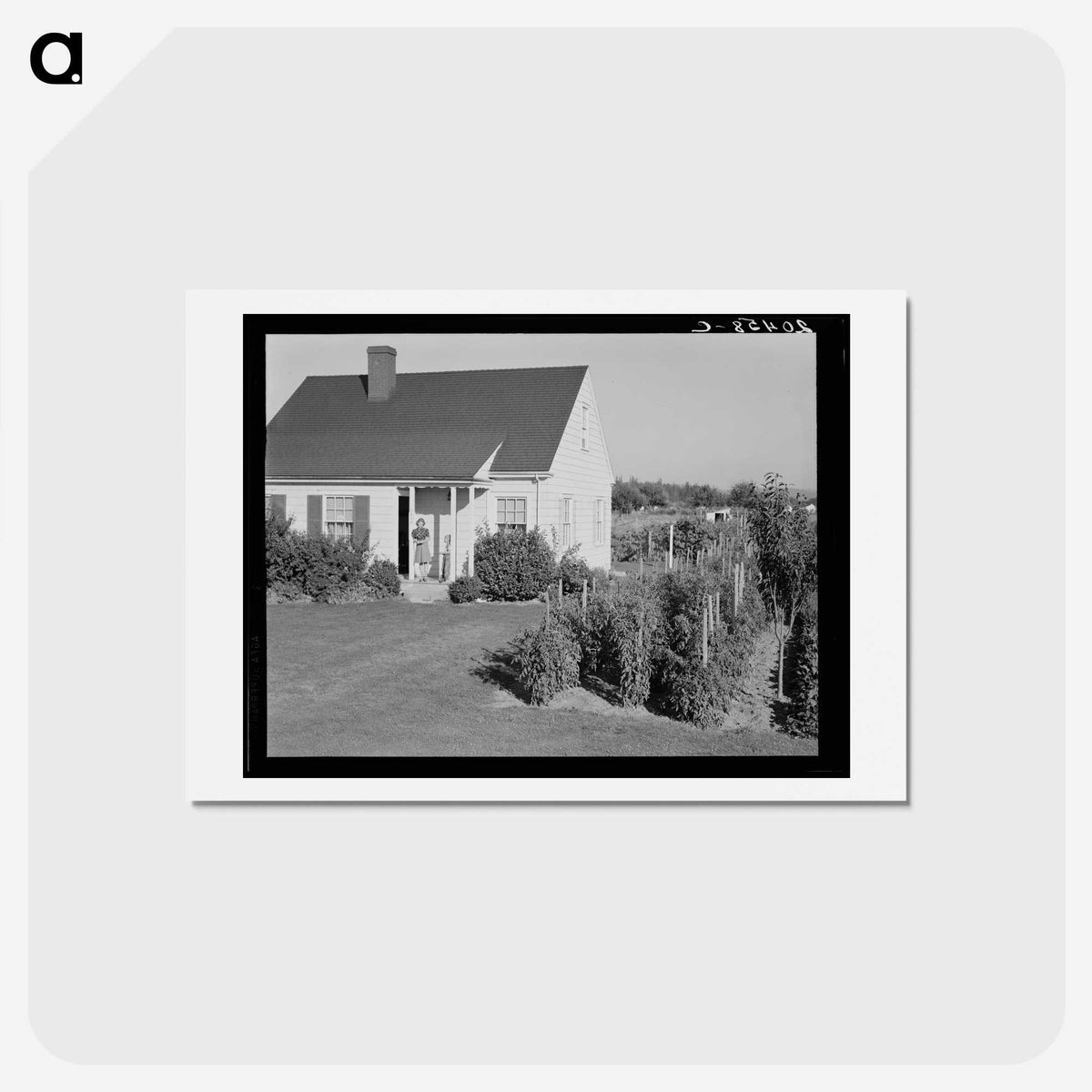 2-54_Dorothea-Lange_hagaki